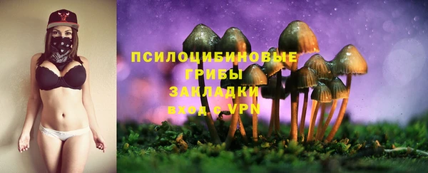 a pvp Богданович