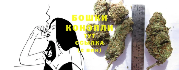 PSILOCYBIN Богородицк