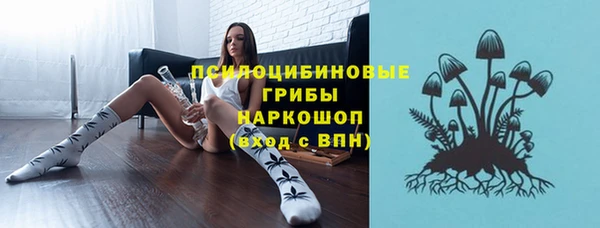 первитин Богородск