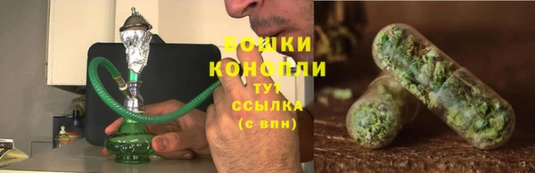 a pvp Богданович