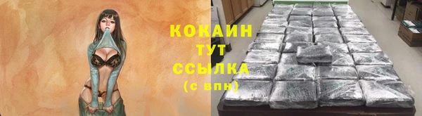 a pvp Богданович
