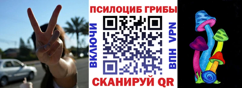 Псилоцибиновые грибы мицелий  Купить  Анжеро-Судженск 